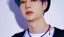 娱乐圈吃瓜肖战王一博,娱乐圈的甜蜜瓜田，揭秘兄弟情深背后的故事